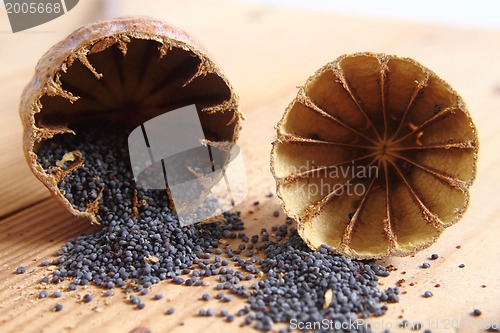 Image of blue poppy seeds 