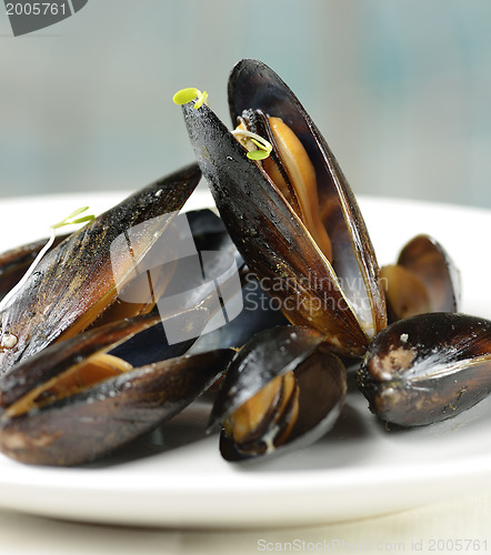 Image of Mussels 