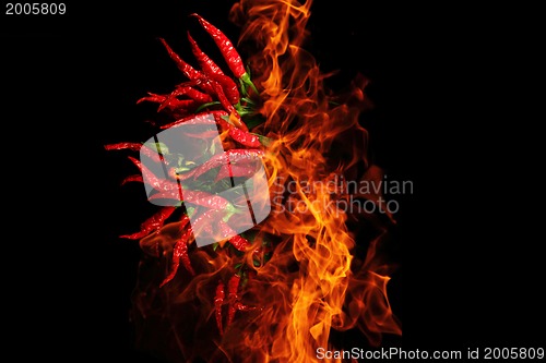 Image of chili isolated on the black