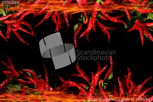 Image of chili isolated on the black