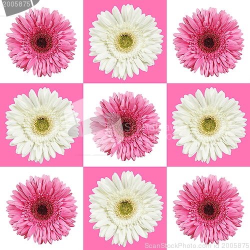 Image of pink and white gerberas
