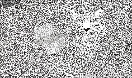 Image of Jaguar skin background