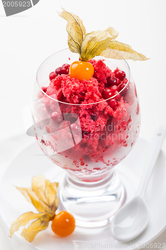 Image of Cranberry sorbet for Christmas