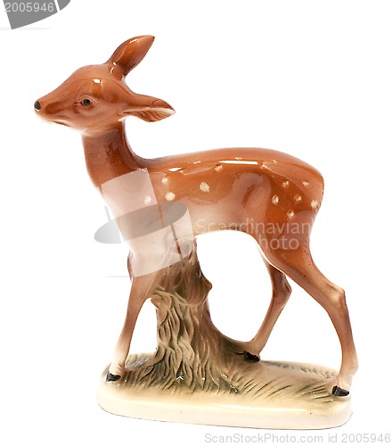 Image of Roe deer calf