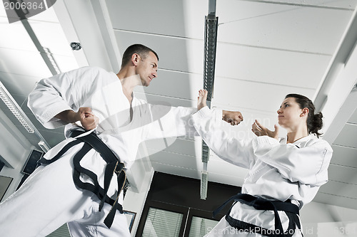 Image of martial arts masters