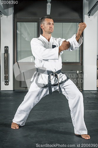 Image of martial arts master
