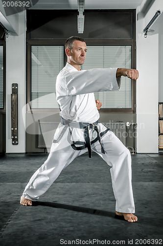 Image of martial arts master