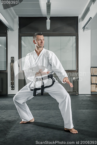 Image of martial arts master