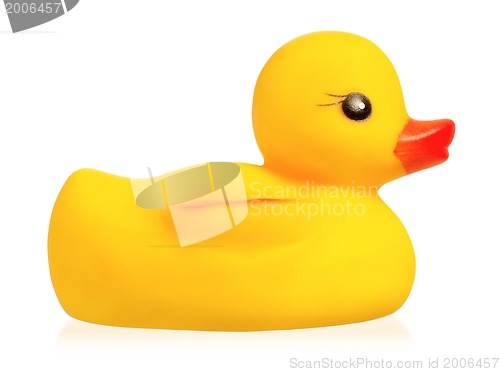 Image of Rubber duck