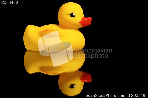 Image of Rubber duck