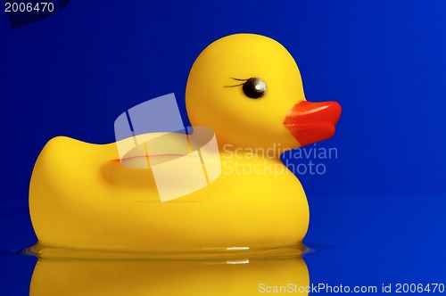 Image of Rubber duck