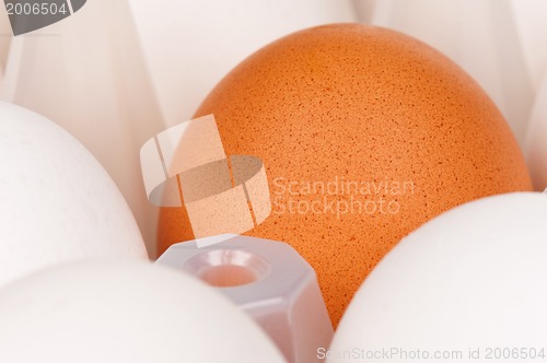 Image of Eggs in box