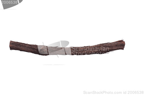 Image of Tree branch