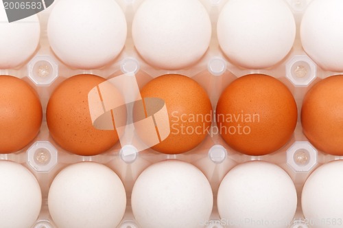 Image of Eggs in box