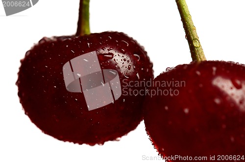 Image of Sweet cherries