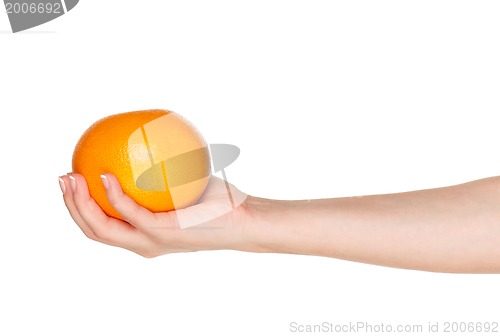 Image of Hand with grapefruit