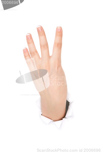 Image of Woman hand