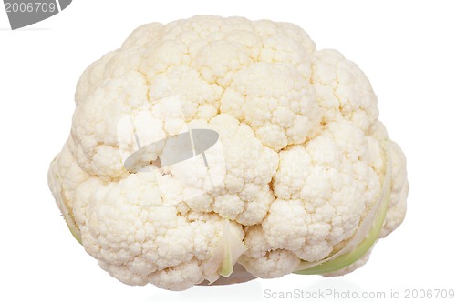 Image of Fresh cabbage