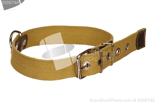Image of Dog collar
