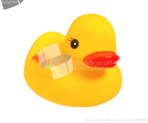 Image of Rubber duck