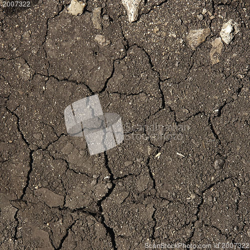 Image of Volcano soil