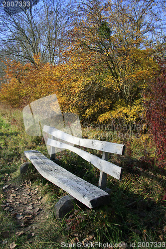 Image of Walking through the park