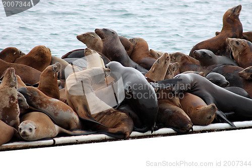 Image of Group hug