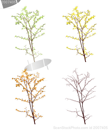 Image of Four seasons