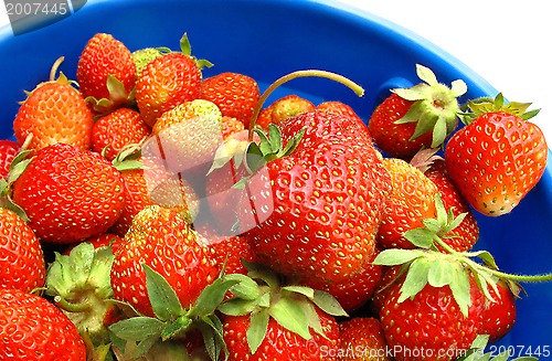 Image of Basket of fresh strawberries 