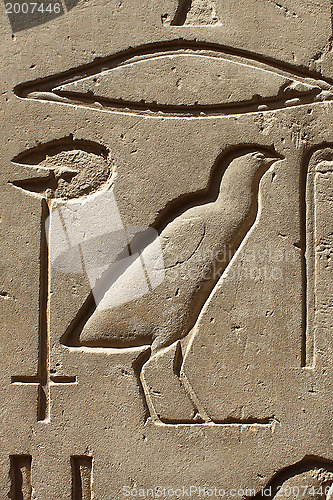 Image of Closeup of ancient egypt images and hieroglyphics