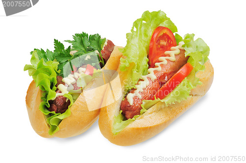 Image of Two tasty and delicious hotdog