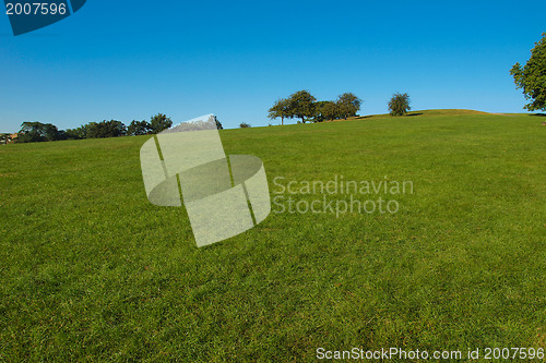 Image of Primrose Hill London
