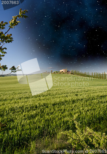 Image of Field of Flowers during Spring time