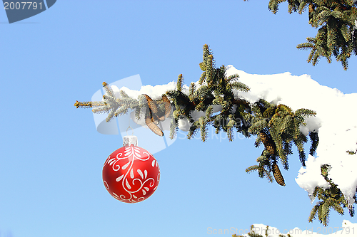 Image of christmas tree full of snow