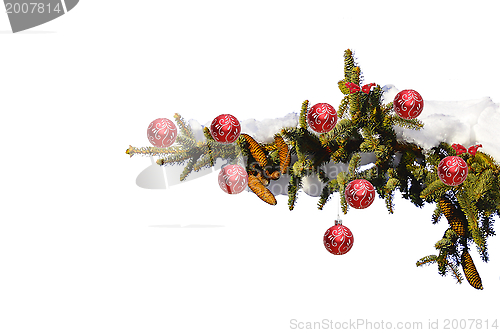 Image of decorated fir branch