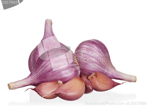 Image of Fresh garlic