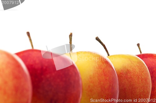 Image of Fresh apple