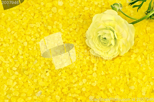 Image of Salt yellow with flower