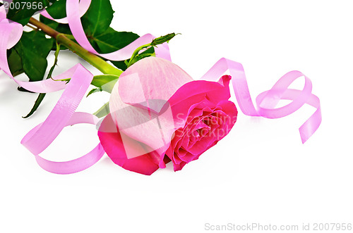 Image of Rose pink with ribbon