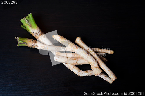 Image of horseradish