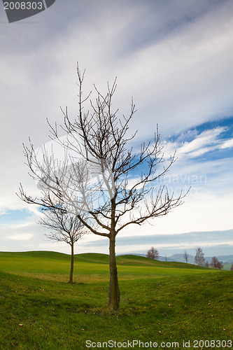 Image of On the golf course 