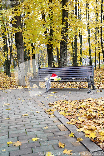 Image of Santa's cap in the autumn park.