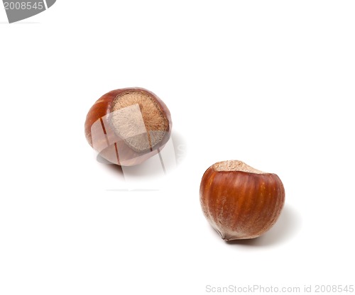 Image of Two brown hazelnuts