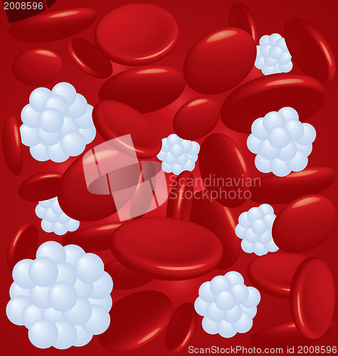 Image of Blood cell types 