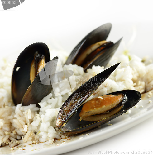 Image of Mussels