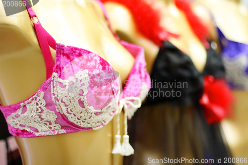 Image of Lingerie shop