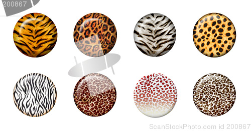 Image of 3d wild buttons