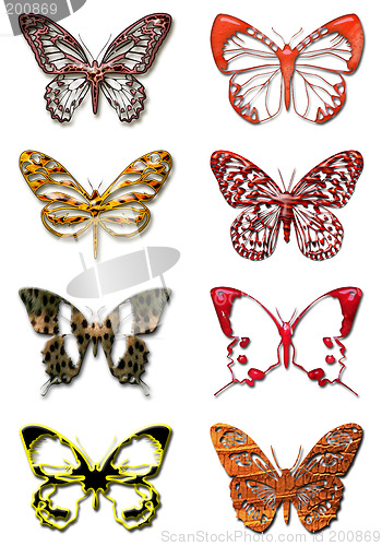 Image of Butterfly 1