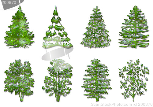 Image of Christmas tree