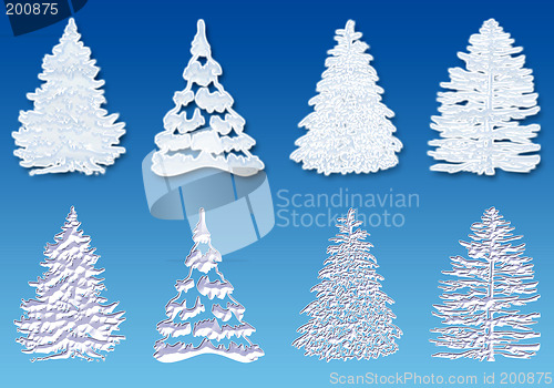 Image of Snow tree